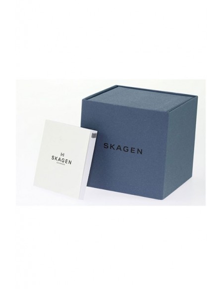 Skagen skw6427 online