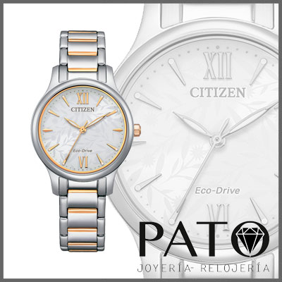 Relógio Citizen EM0895-73A