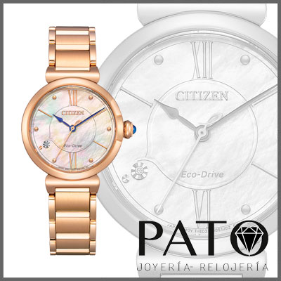 Relógio Citizen EM1073-85Y