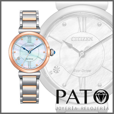 Relógio Citizen EM1074-82D