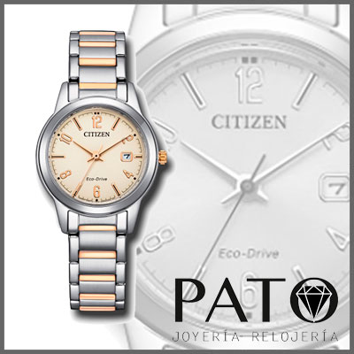 Relógio Citizen FE1244-72A